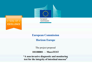 EIC Accelerator y Sello de excelencia EIC Accelerator y Sello de excelencia